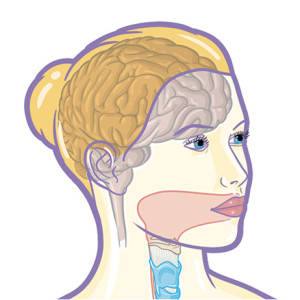 Anatomie générale