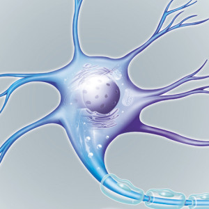 SMA - Amyotrophie spinal