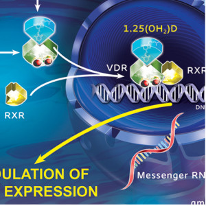 Vitamine D et sclérose en plaques